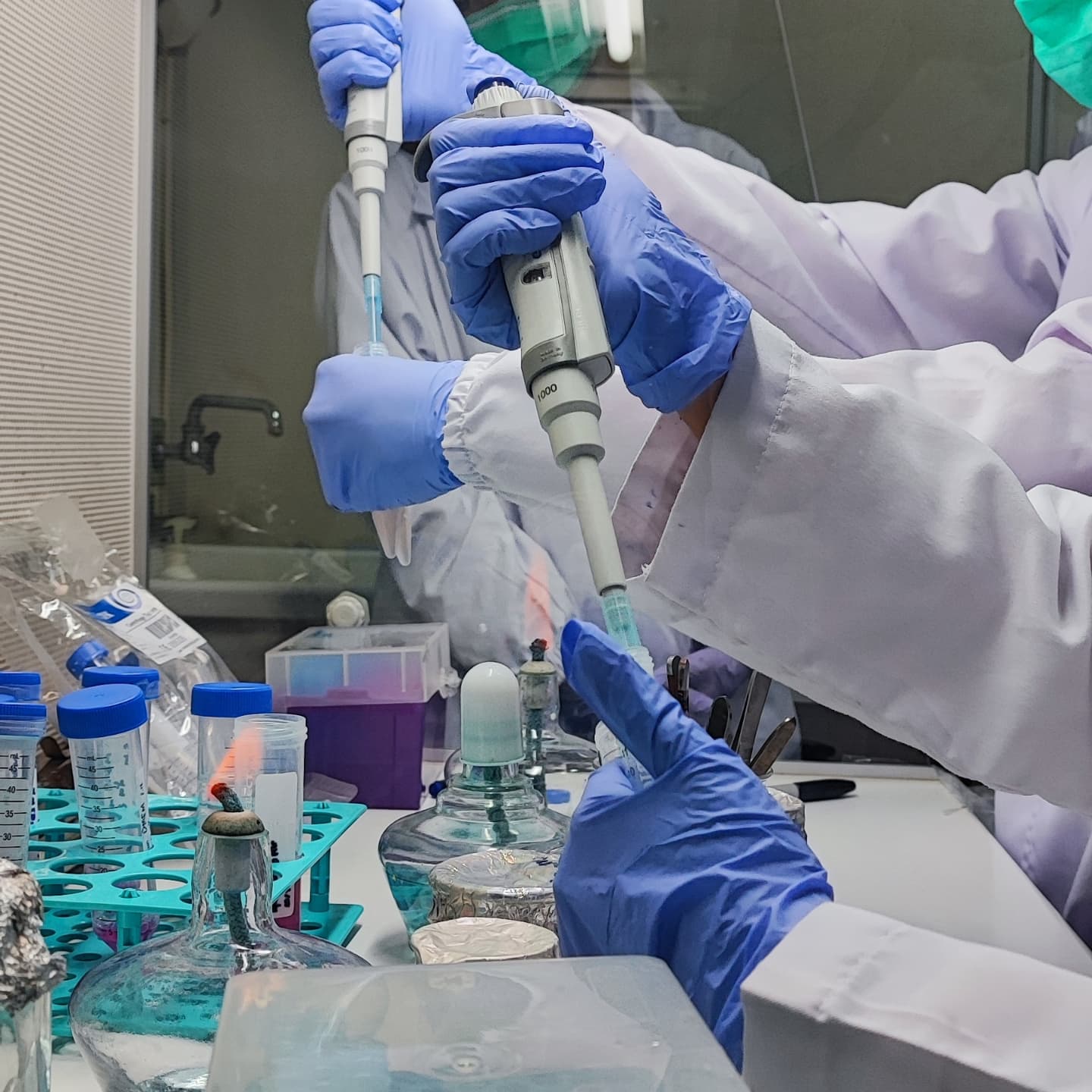 Photo taken in UI Campus